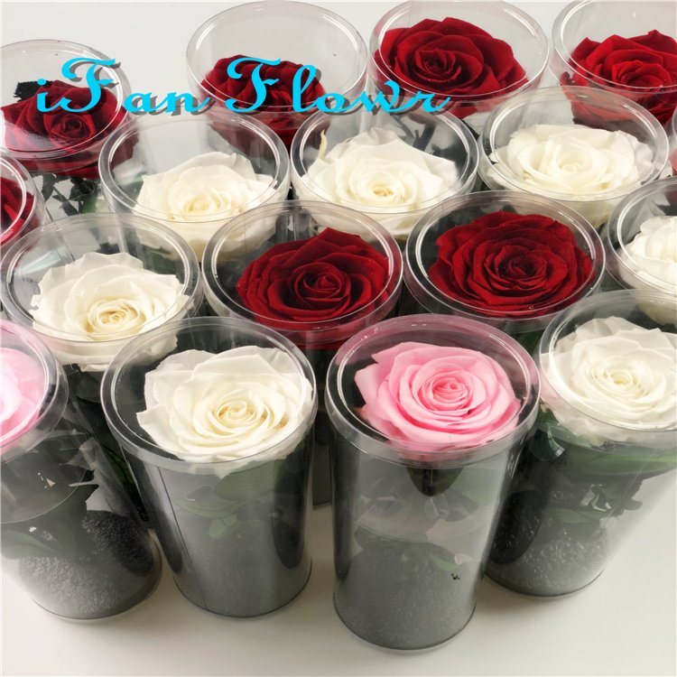 Japan rose real eternal rose DIY preserved rose flower with stems
