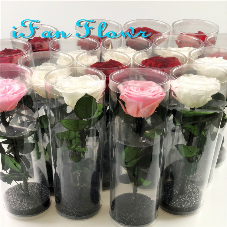 Japan rose real eternal rose DIY preserved rose flower with stems