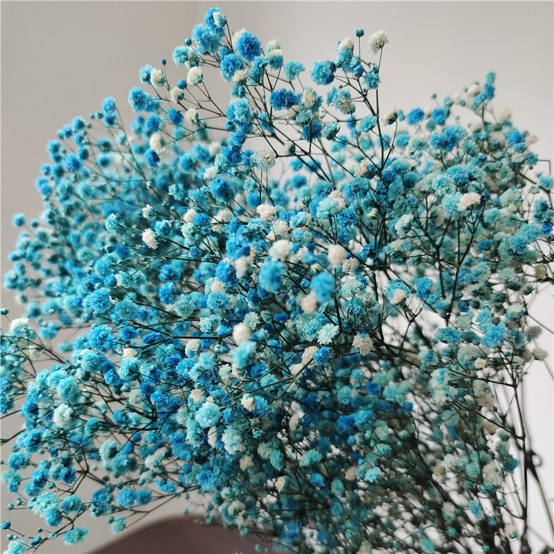 MF-L162Gypsophila bouquet Preserved babys breath flowers white color dried flowers baby s breathe for wedding