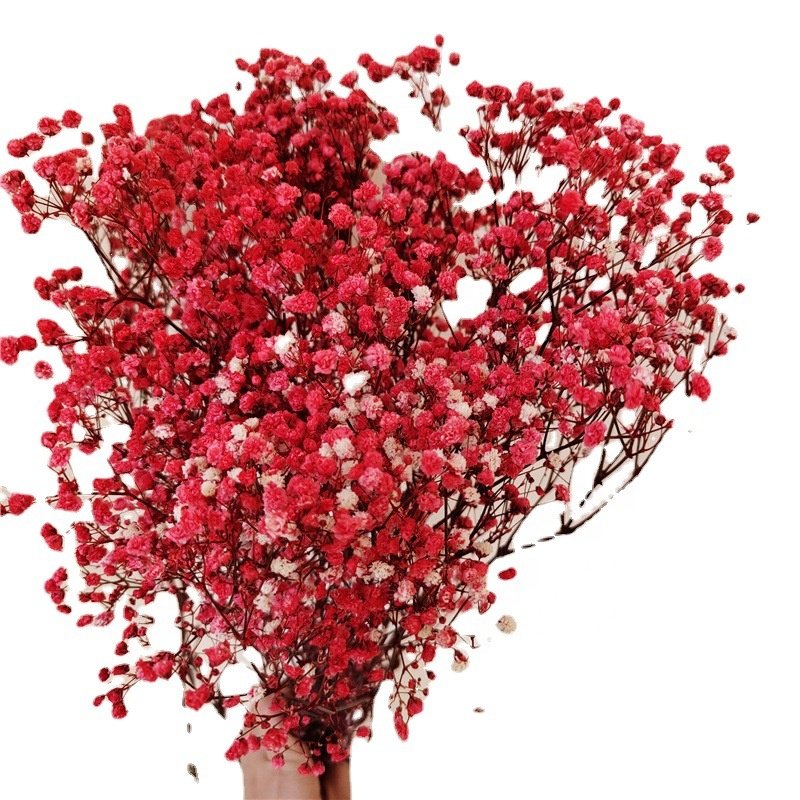 MF-L162Gypsophila bouquet Preserved babys breath flowers white color dried flowers baby s breathe for wedding