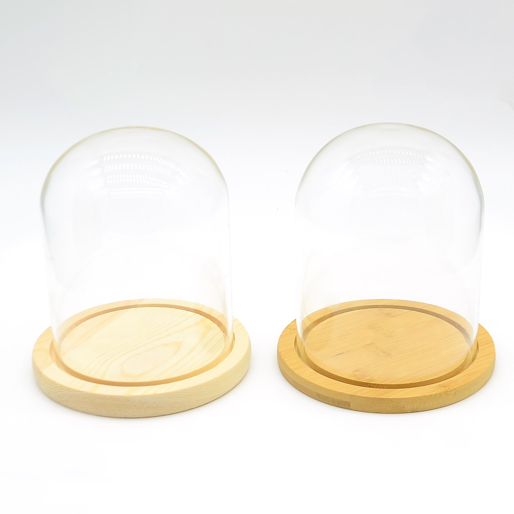 Jar Preserved Rose Glass Dome for Nordic Home Decor