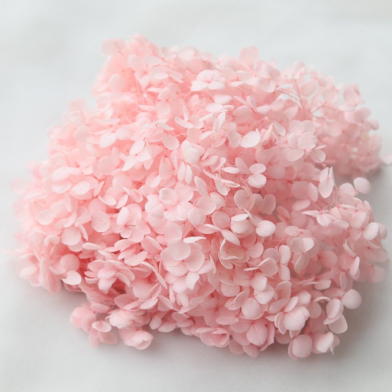 Wholesale Preserved Flower Anna Hydrangea 20g/box Flower Wedding Hair Accessories