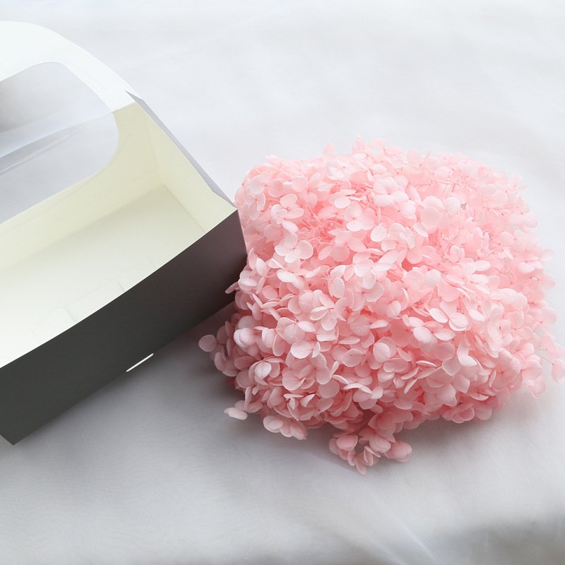 Wholesale Preserved Flower Anna Hydrangea 20g/box Flower Wedding Hair Accessories