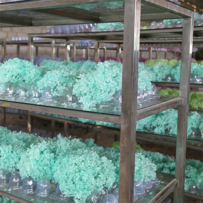 Wholesale Preserved Flower Anna Hydrangea 20g/box Flower Wedding Hair Accessories