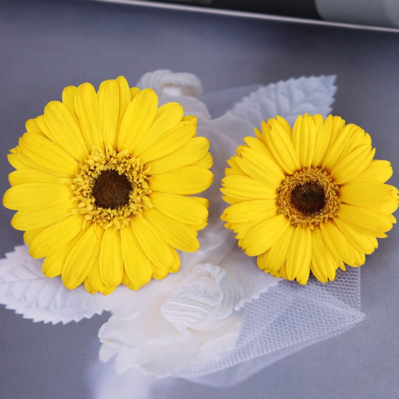 Wholesale Gift Boxes Preserved Flowers for Mother's Present Forever Flowers Immortal Gerbera in Box for Wedding