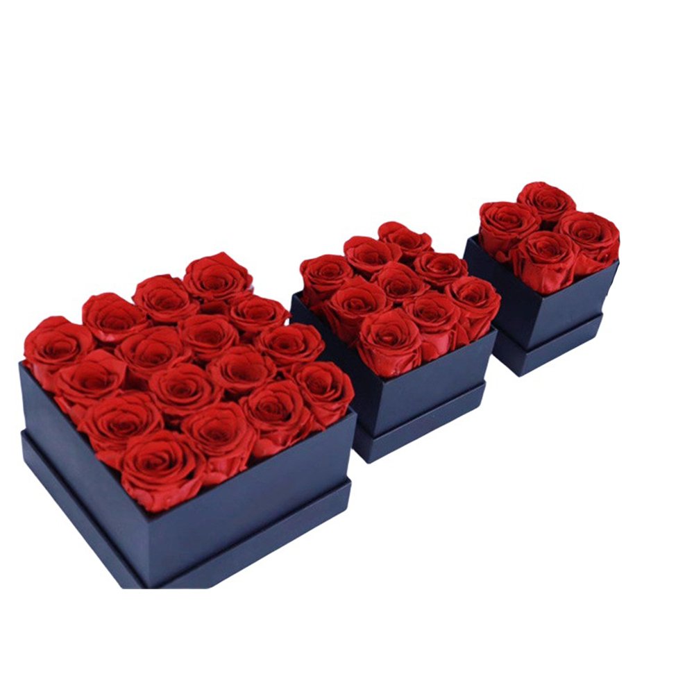 INUNION Perfect Valentines Day Gift Immortal Infinity Eternal Forever Stabilized Preserved Roses In Gift Box