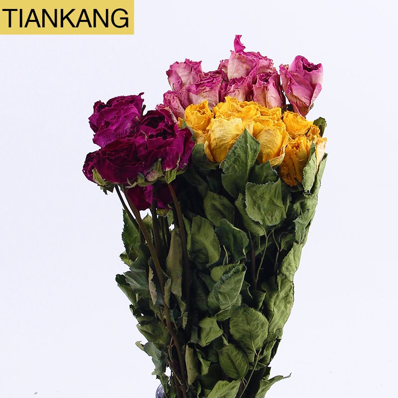 Natural dried rose bouquet flowers long life roses of preserved flower for decoration