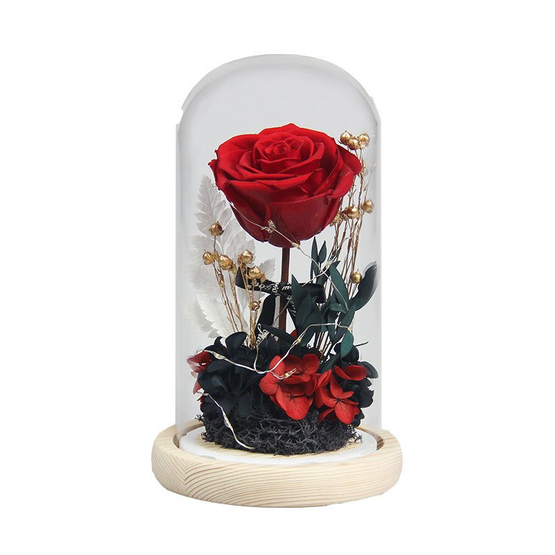Immortal Flower Moss Bear in Beautiful Glass Dome Rose Preserved Flower Gift for Valentine's Day Mother's Day Thanksgiving