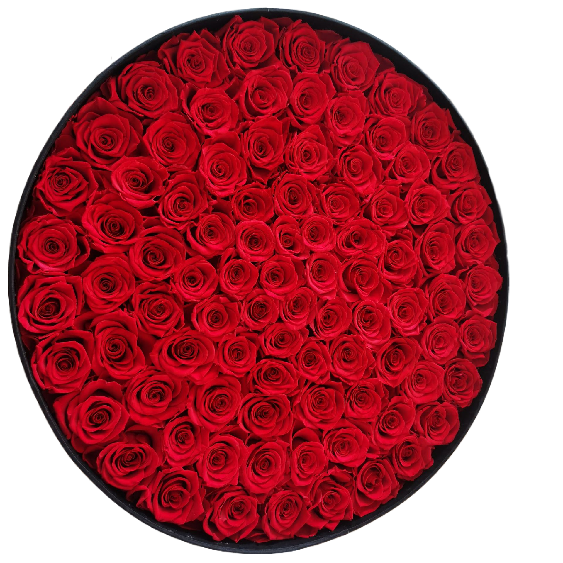 Luxury Preserved Roses Valentines Day Gift Box 99 Forever Roses Real Preserved Roses Gift Boxes Preserved Flowers