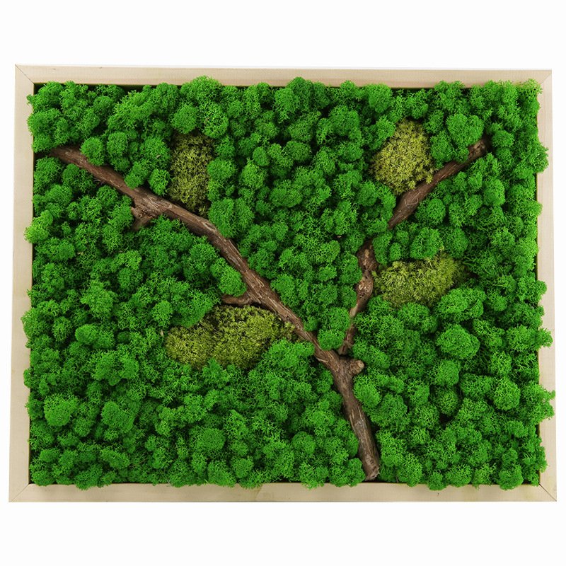 High Quality Preserved Moss Moss Wall Art Indoor And Outdoor Moss For Home And Office Decoration