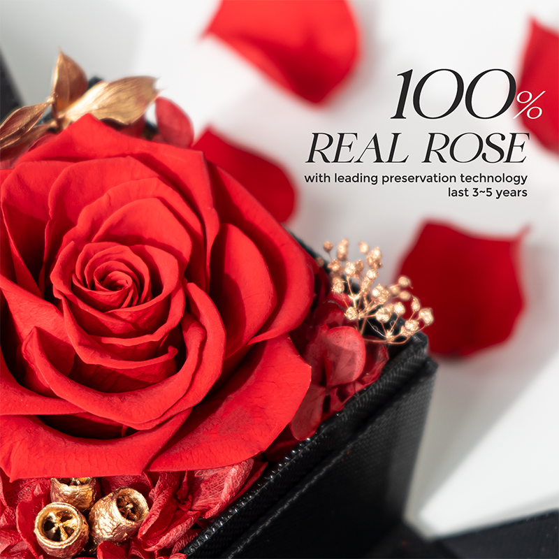 Wholesale Jewelry Gift Boxes Preserved Flower Head Red Eternal Rose For Women Mothers Day Valentines Day Decoration