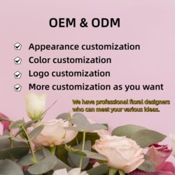 Customization