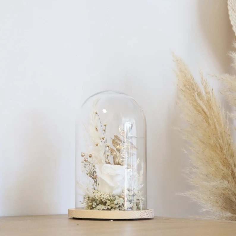 Wholesale Pure White Preserved Forever Roses In Glass Creative Gifts For Girl Preserved Flowers