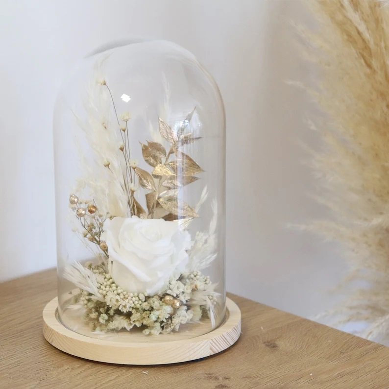 Wholesale Pure White Preserved Forever Roses In Glass Creative Gifts For Girl Preserved Flowers