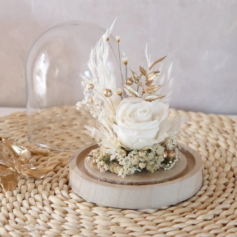 Wholesale Pure White Preserved Forever Roses In Glass Creative Gifts For Girl Preserved Flowers