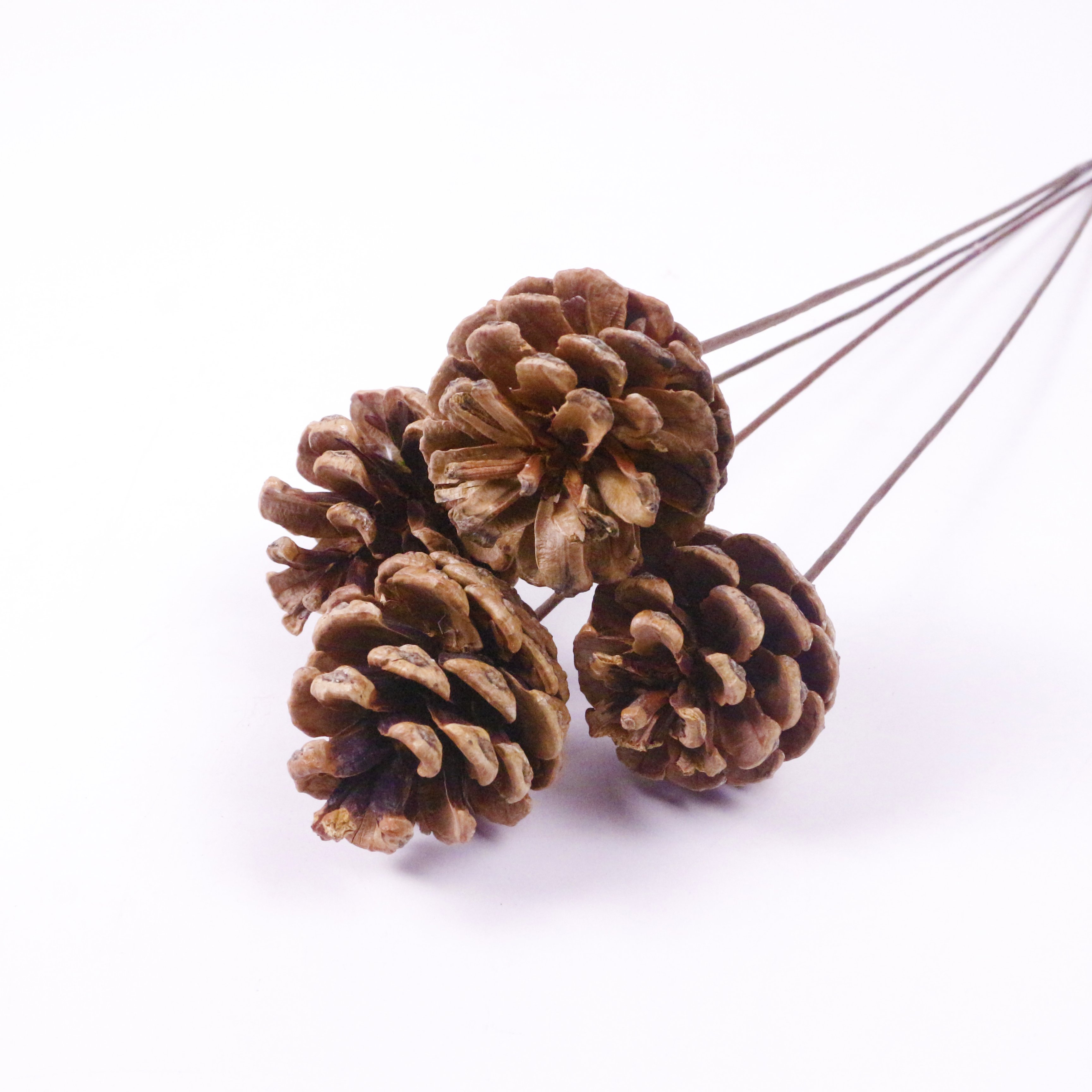Brown pine cones with rods - dried flower plant fruits - Christmas natural pine cone ornaments for home decoration