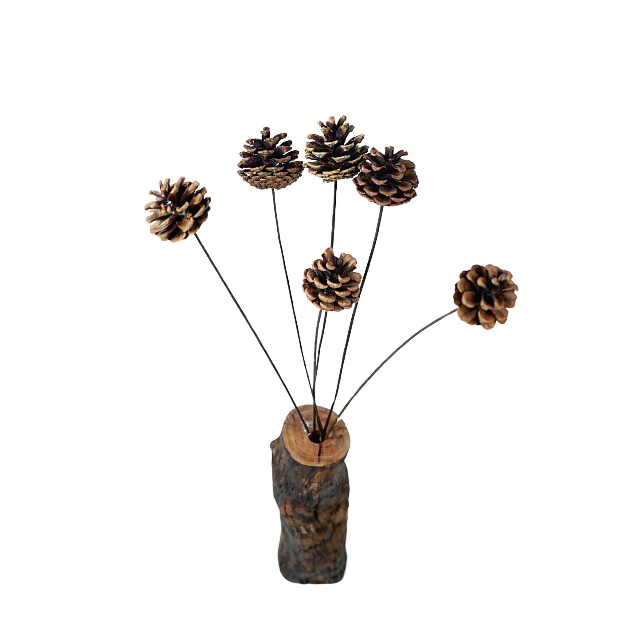 Brown pine cones with rods - dried flower plant fruits - Christmas natural pine cone ornaments for home decoration