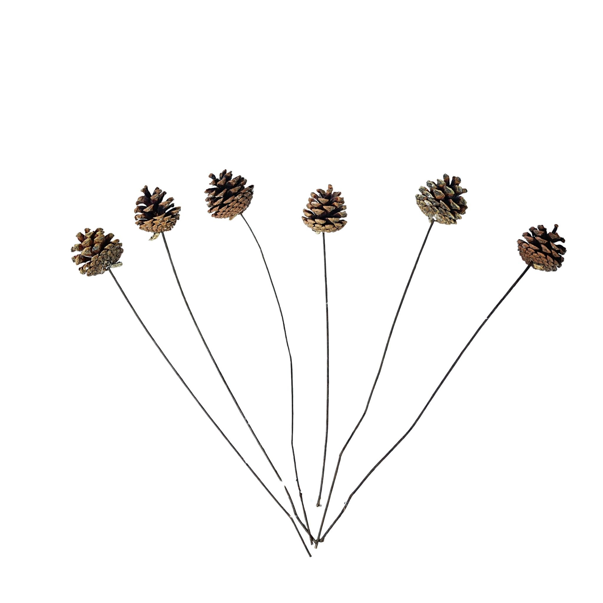 Brown pine cones with rods - dried flower plant fruits - Christmas natural pine cone ornaments for home decoration