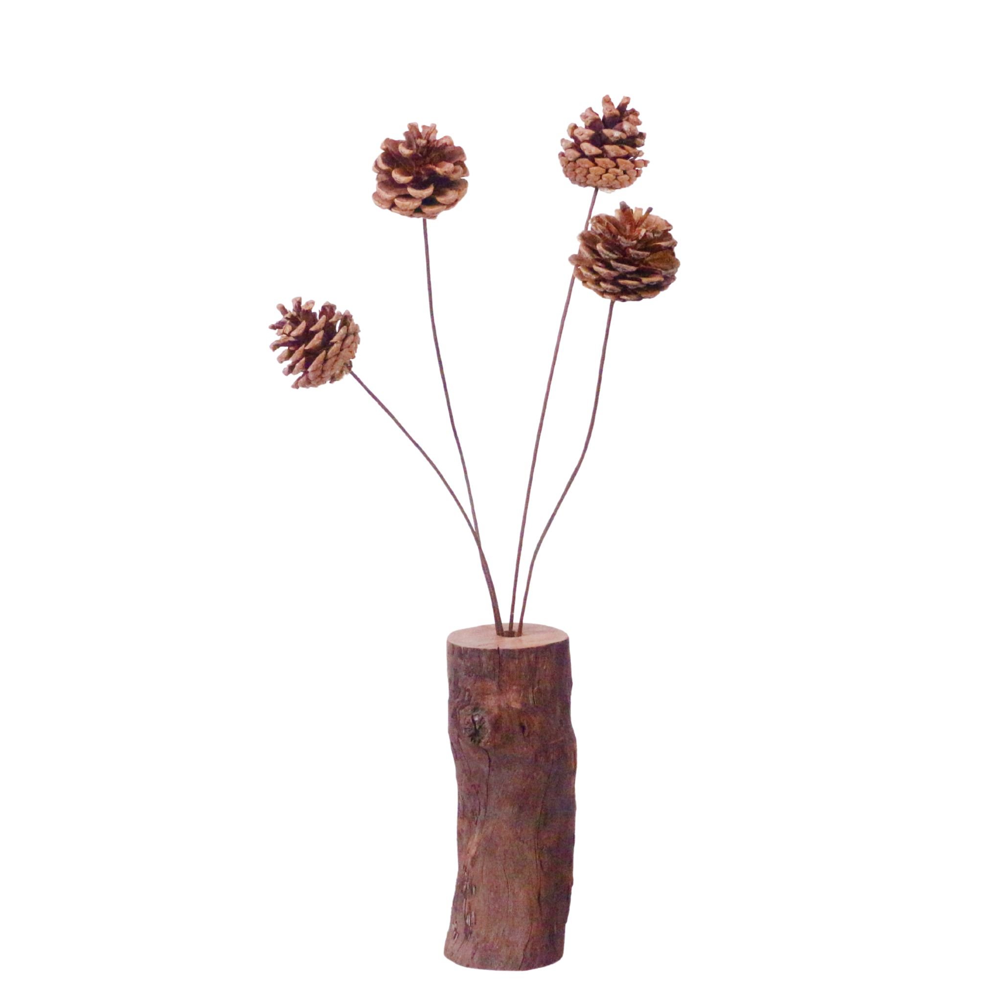 Brown pine cones with rods - dried flower plant fruits - Christmas natural pine cone ornaments for home decoration