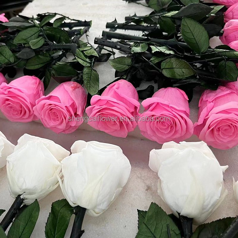 5-6cm Single Forever Red Rose Gift Box Preserved Eternal Rose Long Stem Flower For Wedding Decoration