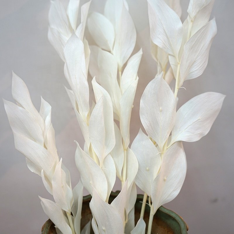 wholesale natural fresh preserved dry flowers bouquet orange leaves dried stalked flower