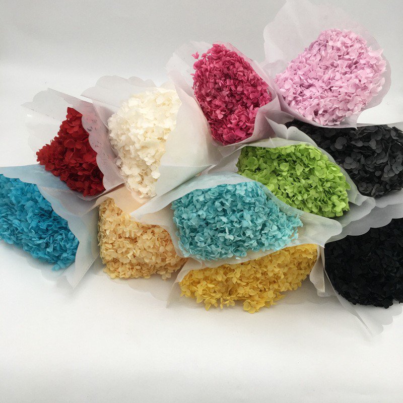 Factory Direct Wholesale Real Touch Immortal Hydrangea Dried Flowers Anna Hydrangea Home Wedding Flower Vase Decor Preserved