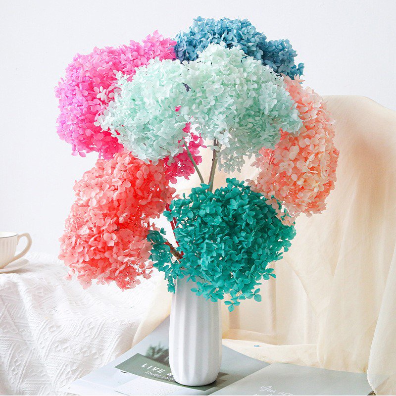 Factory Direct Wholesale Real Touch Immortal Hydrangea Dried Flowers Anna Hydrangea Home Wedding Flower Vase Decor Preserved