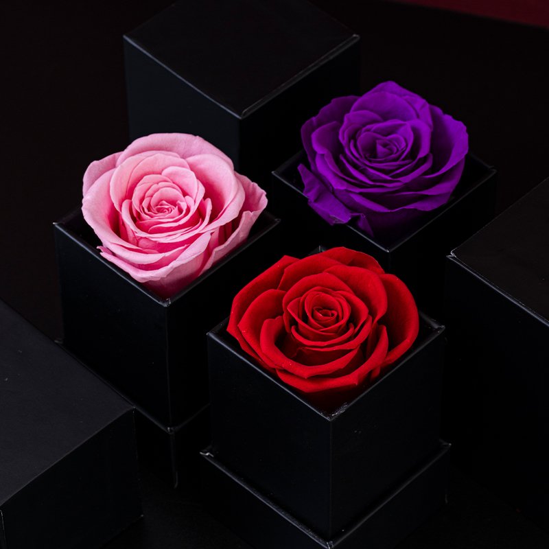 1 Pcs Preserved Fresh Roses Long Lasting Square Box Flower Arrangements for Halloween and Thanksgiving Occasions