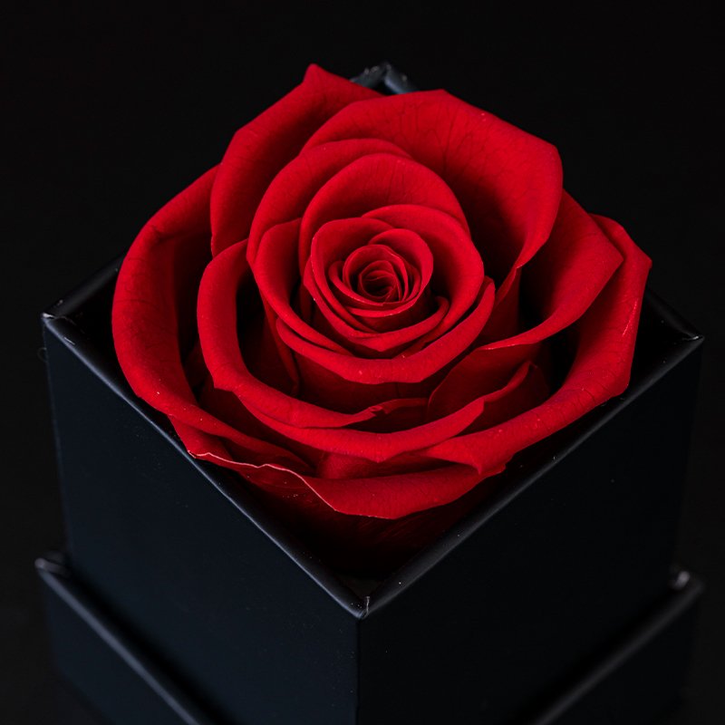 1 Pcs Preserved Fresh Roses Long Lasting Square Box Flower Arrangements for Halloween and Thanksgiving Occasions