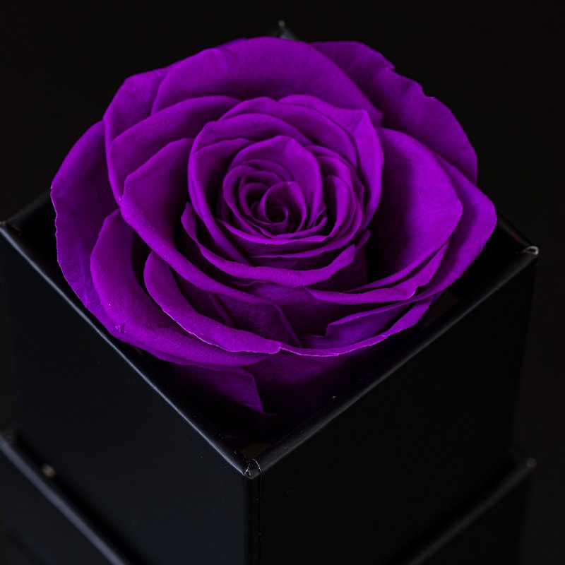 1 Pcs Preserved Fresh Roses Long Lasting Square Box Flower Arrangements for Halloween and Thanksgiving Occasions