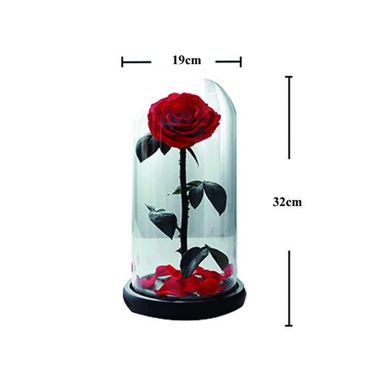 Christmas creative gift high quality glass domes immortal beauty and the beast eternal rose preserved flower