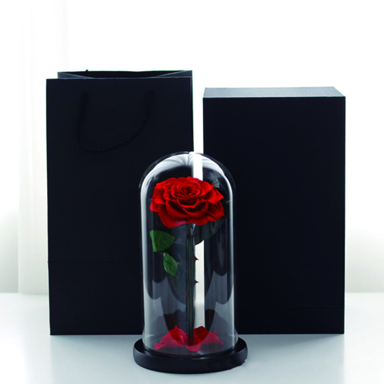 Christmas creative gift high quality glass domes immortal beauty and the beast eternal rose preserved flower