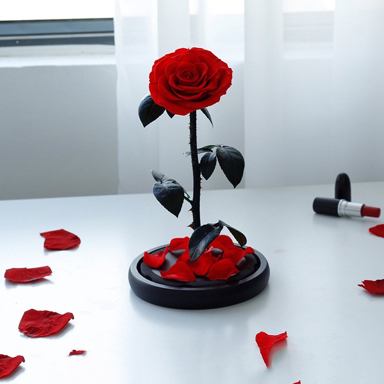 Christmas creative gift high quality glass domes immortal beauty and the beast eternal rose preserved flower
