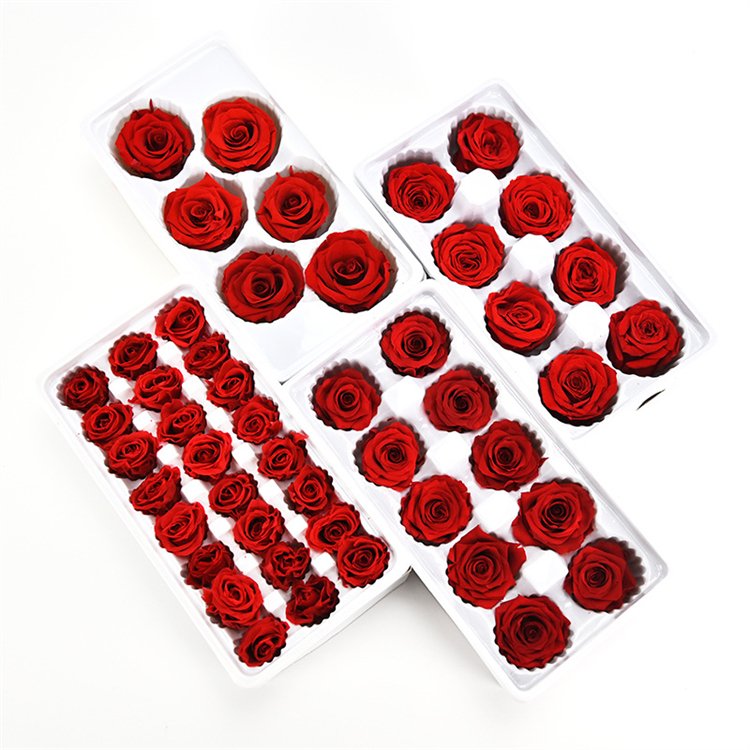Factory Original 8PCS in one box 4-5cm eternal long lasting natural preserved flower roses for Valentine's Day Gift