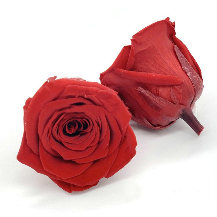 Preserved Rose Head Immortalized 4-6 Diameter Eternal Roses Christmas Mother's Day Gift Box