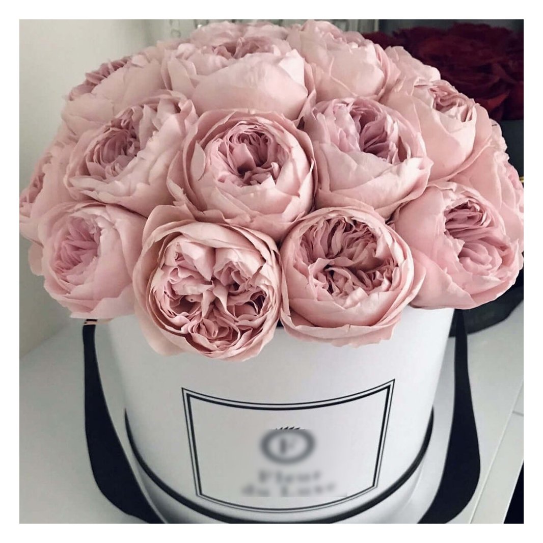Preserved Pale Pink Peonies flower real touch flowers box peony preserved peonies