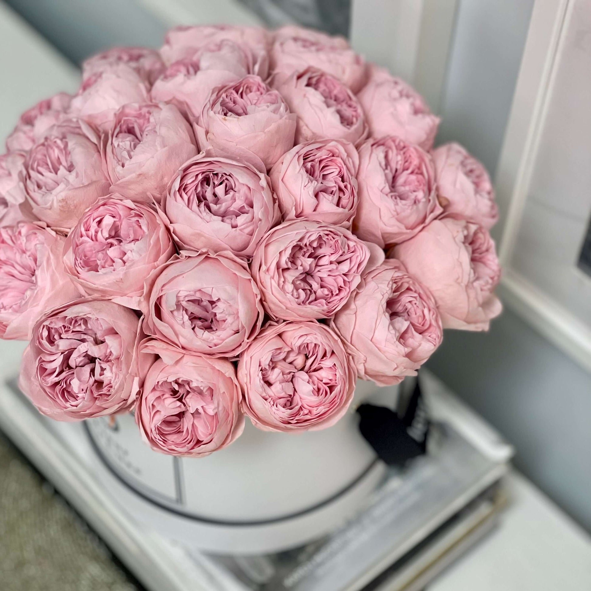 Preserved Pale Pink Peonies flower real touch flowers box peony preserved peonies