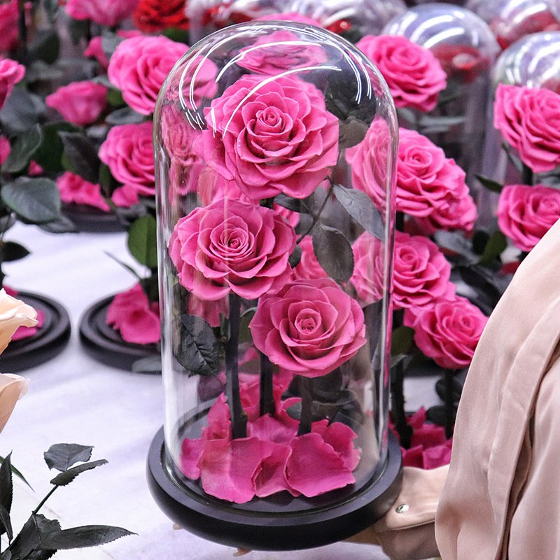 Pure Flower Forever Rose Large Glass Dome Preserved Flower Rose Glass Dome Eternal Rose Preserved Flower Gift For Her