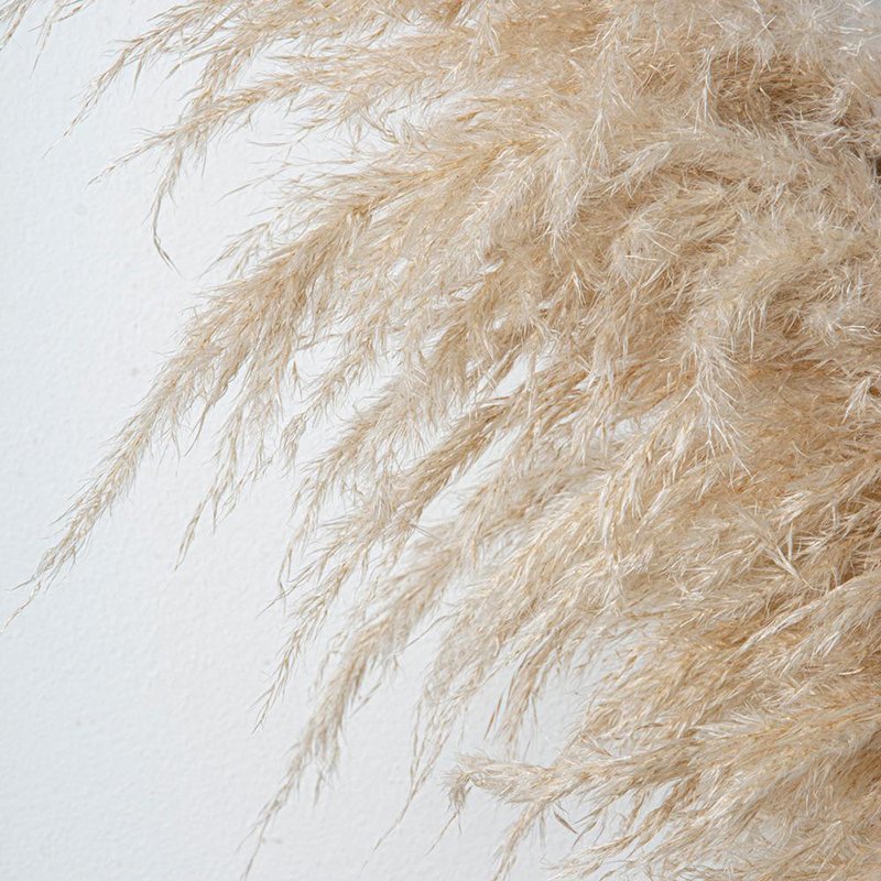 Real Pampas Grass Yunnan HOT Sell 2021 Yunnan Beige Fluffy Large pampas Grass For Home Decoration Preserved Flower