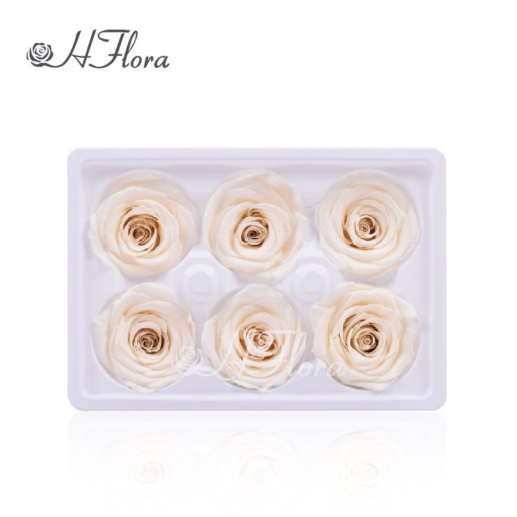 Fashion Attractive Design 6 Heads Rose Preserved Rose Bud 5~6 cm for Christmas Valentines Gift