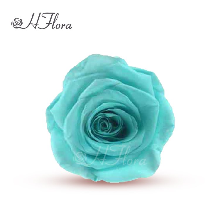 Fashion Attractive Design 6 Heads Rose Preserved Rose Bud 5~6 cm for Christmas Valentines Gift