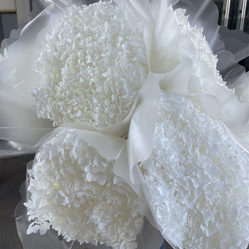 Wholesale Preserved Flowers Pink Hydrangea Home Decor Anna Humata Tyermanni Wedding Decoration Dried Flower White Red hydrangea