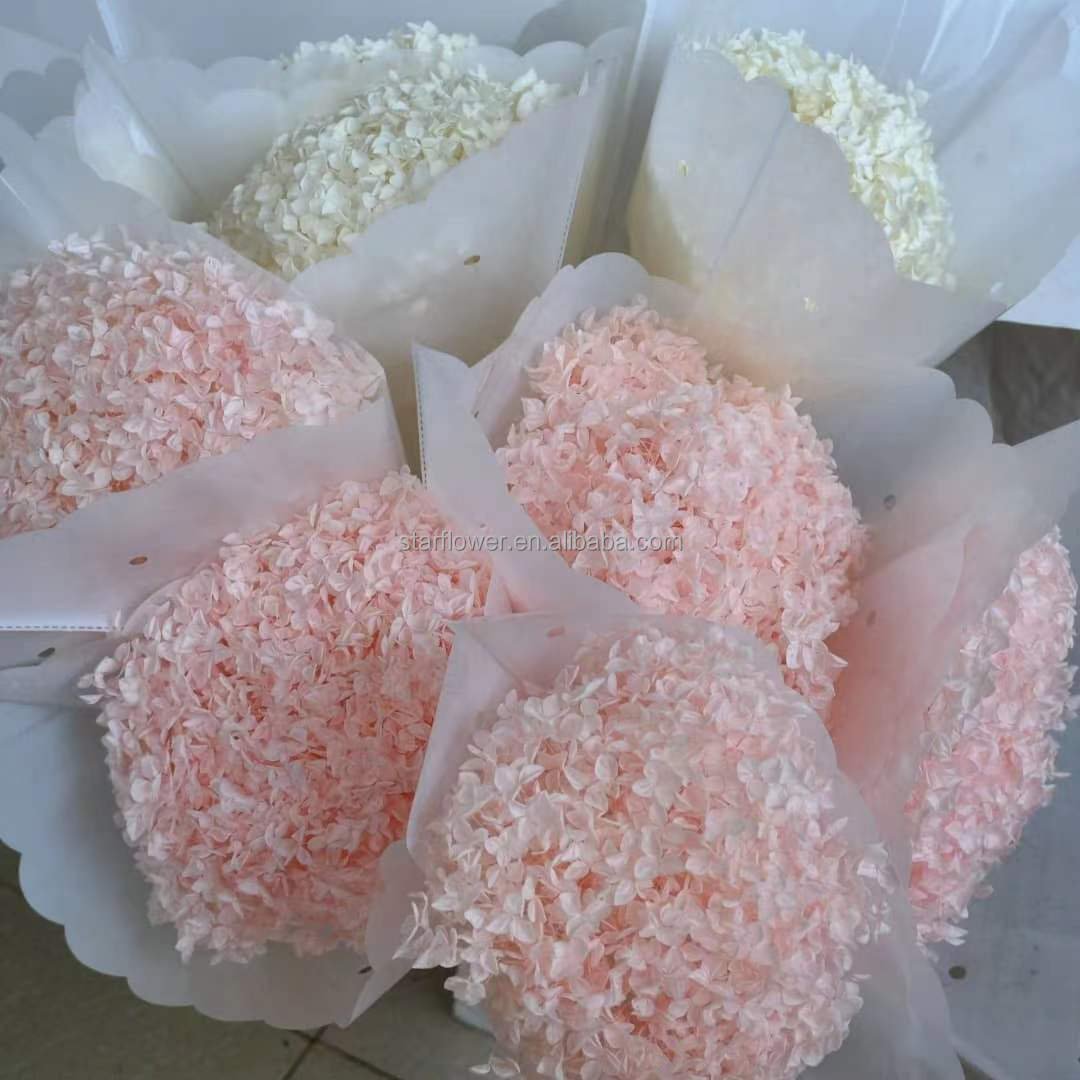Wholesale Preserved Flowers Pink Hydrangea Home Decor Anna Humata Tyermanni Wedding Decoration Dried Flower White Red hydrangea