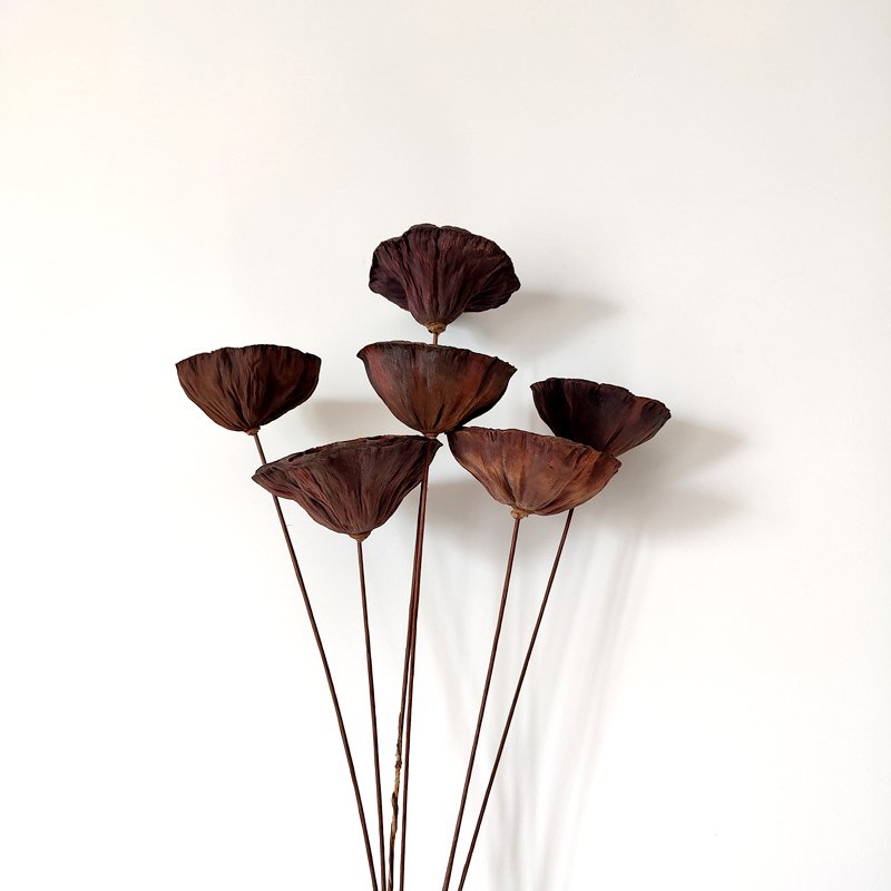 Dried Flowers Lotus Wedding Decor Floral Preserved Florist Brown Flower Large Natural Dried Lotus Pod Stems Dry Lotus Pod Seeds