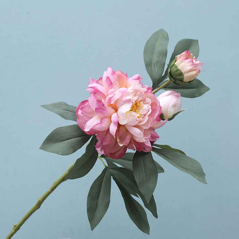 Factory wholesale high quality Artificial single Chinese Peony flower Chinese Online Markets
