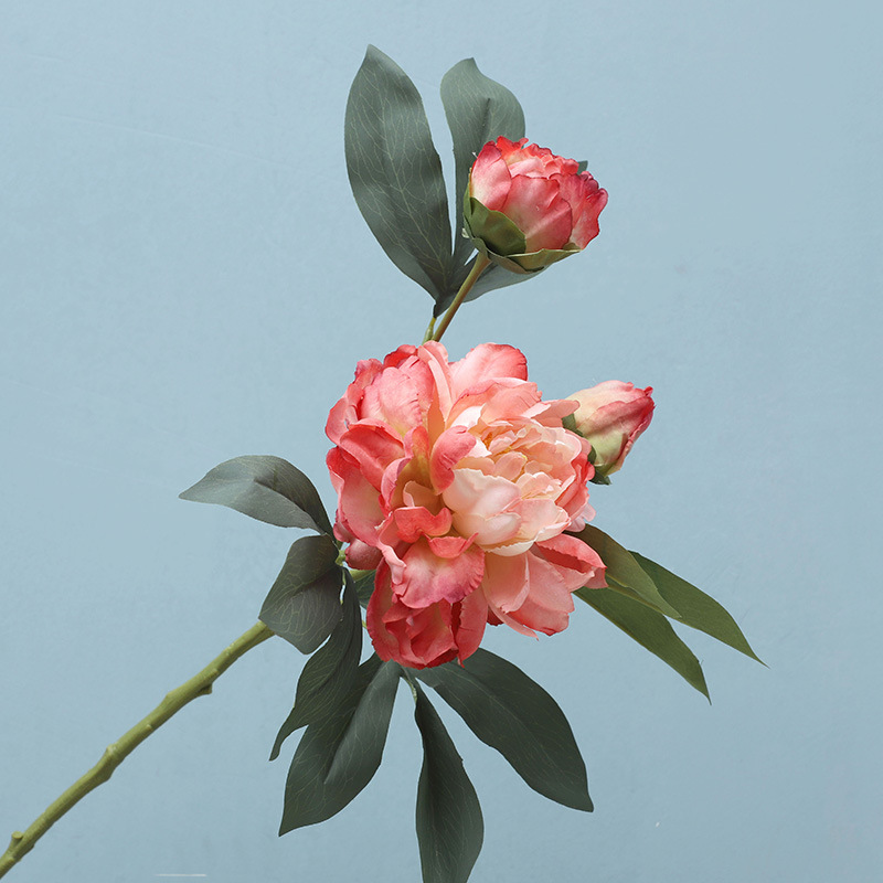 Factory wholesale high quality Artificial single Chinese Peony flower Chinese Online Markets