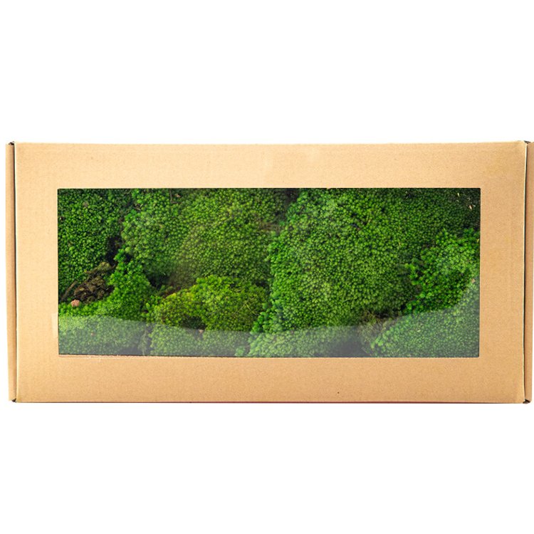 Eco-friendly Pillow Bun Cushion 3D Real Natural Green stabilized preserved pole moss for terrariums gardening art wall decor