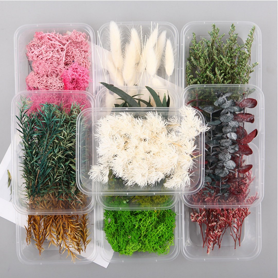 Factory Wholesale DIY Dried Flower Bag Natural Rose/Eucalyptus/ bulk lavender daisy preserved flower material for decoration