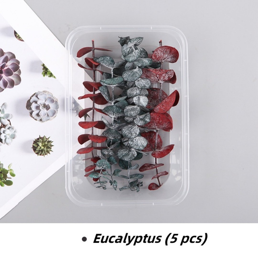 Factory Wholesale DIY Dried Flower Bag Natural Rose/Eucalyptus/ bulk lavender daisy preserved flower material for decoration