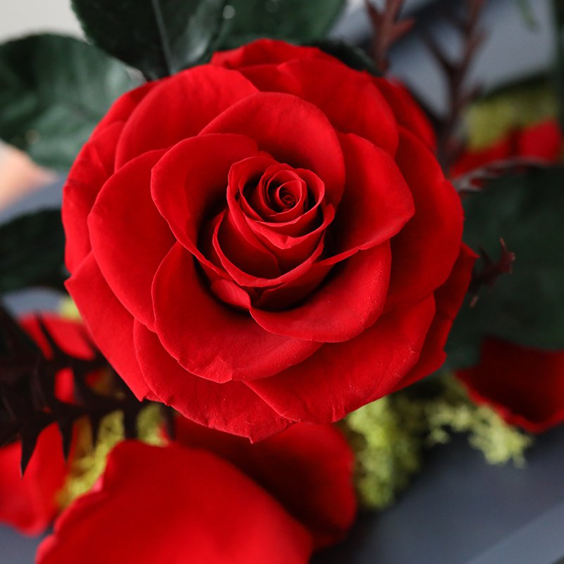 Wholesale OEM rose luxury gift box preserved rose in acrylic box eternal rose for home wedding decoration flower aggrangement